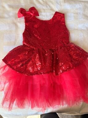 Child’s Party Dress NWT